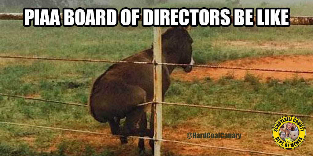 piaa board of directors meme