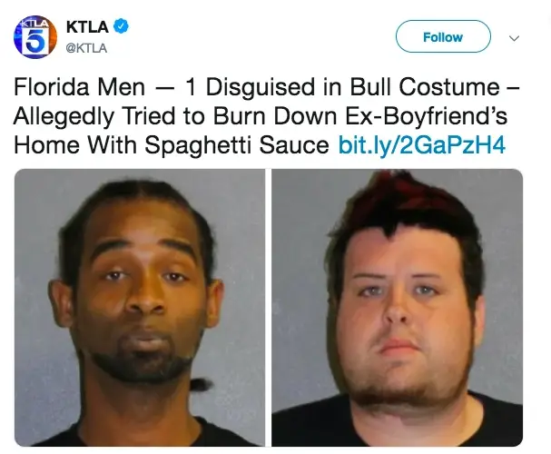 florida man memes 