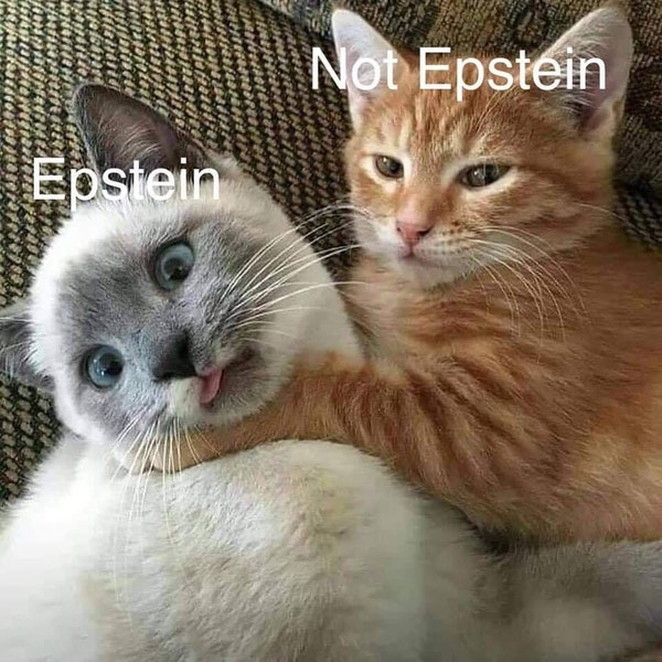 epstein didnt kill himself
