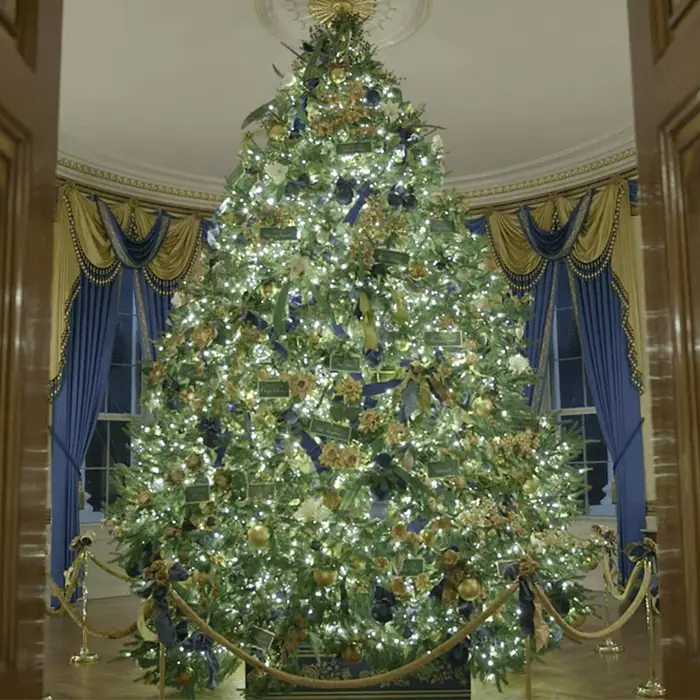 white house christmas tree 2019