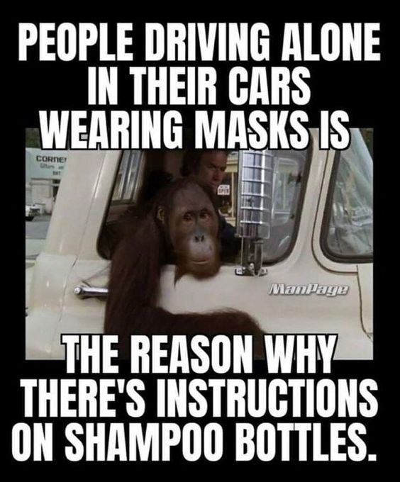driving alone wearing mask meme chimp