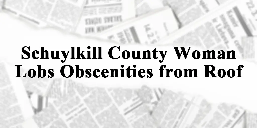 schuylkill county woman lobs obscenties from roof