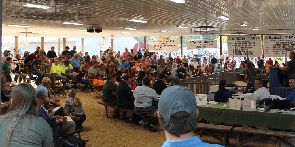 Photos from the 2021 Schuylkill County Fair Coal Region Canary