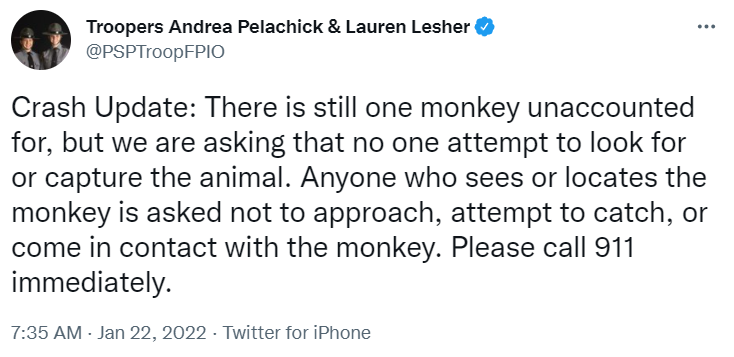 missing monkey pennsylvania