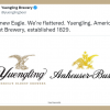 new anheuser busch logo yuengling