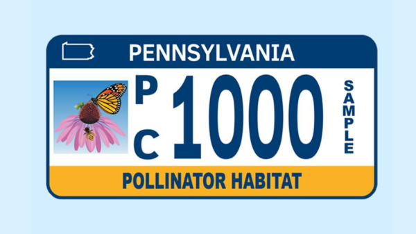 Vehicle owners in PA can now support pollinator conservation efforts in Pennsylvania with the new Pollinator license plates by PennDOT.