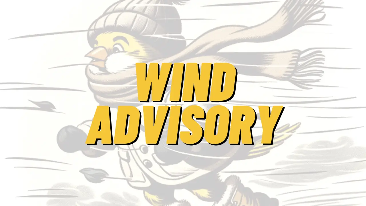 Wind Advisory for Schuylkill County on January 13th, 2024