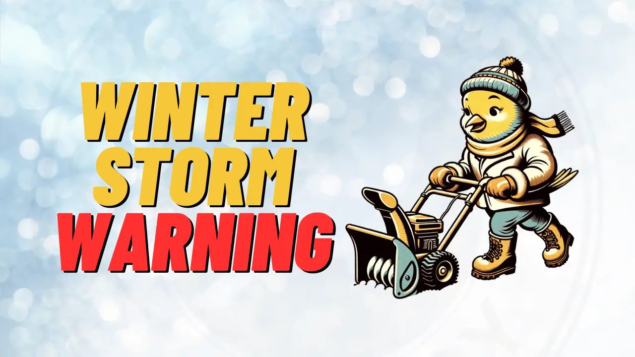 A Winter Storm Warning has been issued for Schuylkill County from Midnight until 1 p.m. on Tuesday, Feb. 13. Snow accumulation between 6-9 inches is expected.