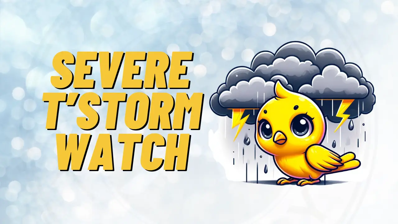 severe thunderstorm watch schuylkill county august 6 2024